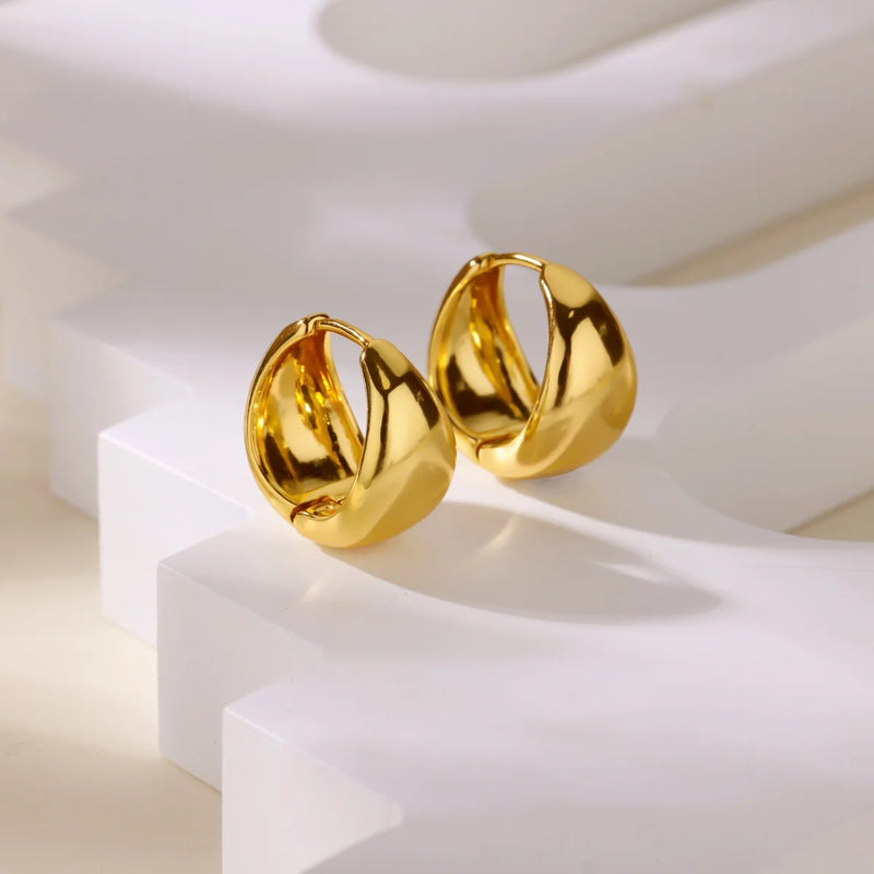Stainless Steel Earrings for Women 18K Gold Plated Small Hoop Earrings Hypoallergenic Waterproof Fashion Jewelry Gifts